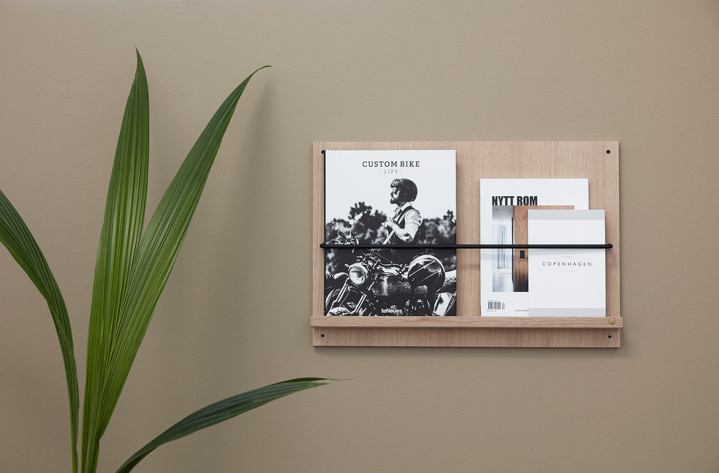 Regal Magazine Gallery 60x40 cm | Farbe: Eiche